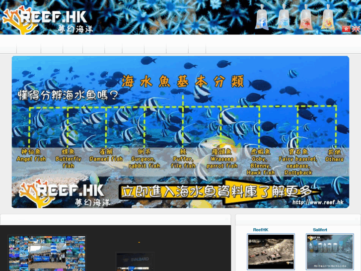 www.reef.hk
