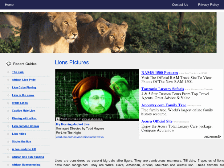 www.lionspictures.net