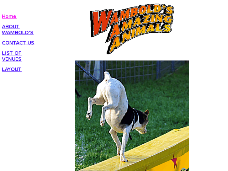 www.wambolds.com