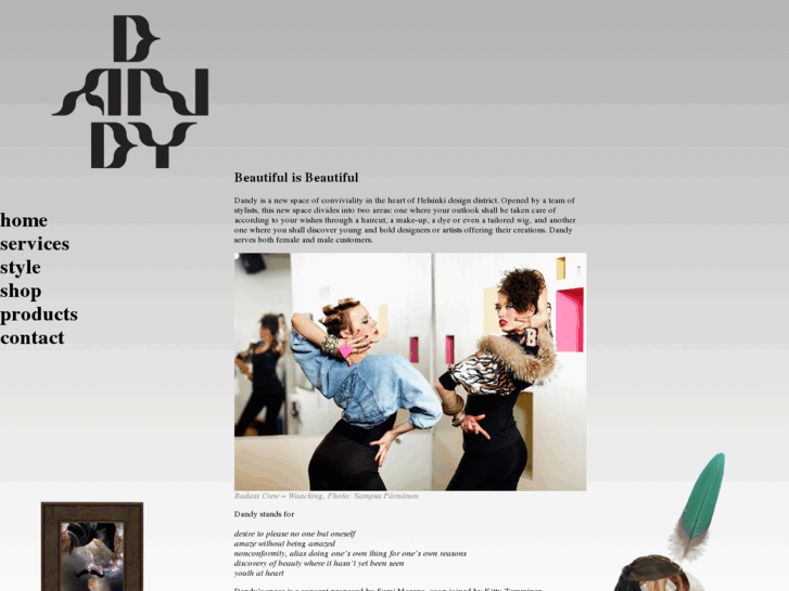 www.dandy.fi