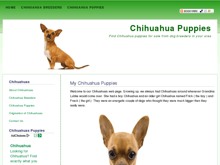 www.mychihuahuapuppies.com