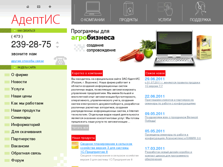 www.adeptis.ru