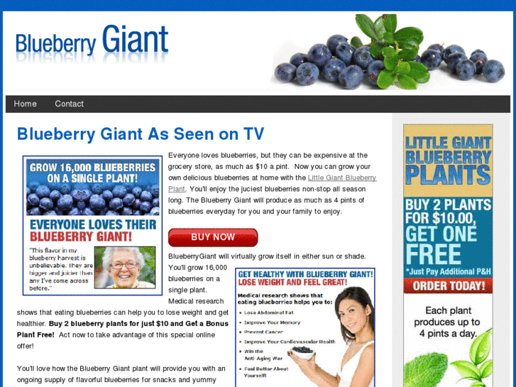 www.theblueberrygiant.com
