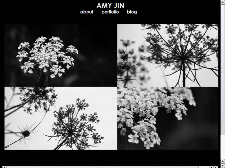 www.amy-jin.com