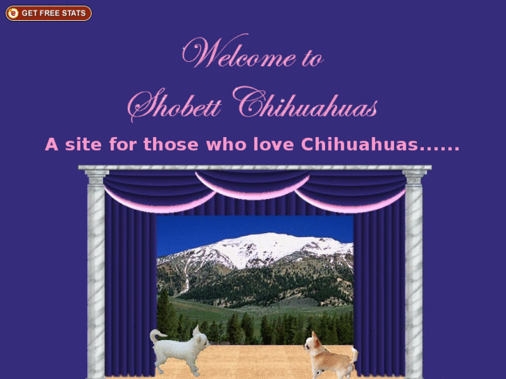 www.shobettchihuahuas.com