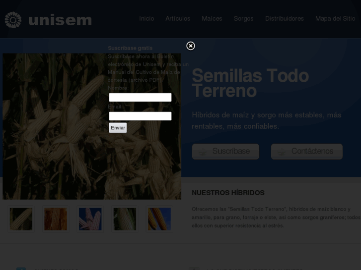 www.semillastodoterreno.com