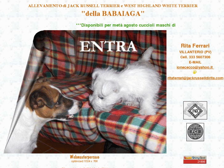 www.jackrusselldirita.com