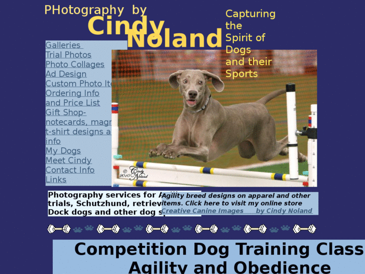 www.nolanddogart.com