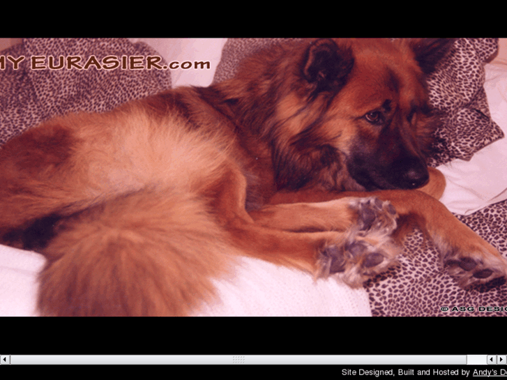 www.myeurasier.com