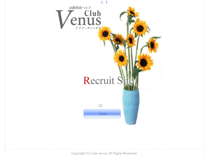 www.venus-job.com