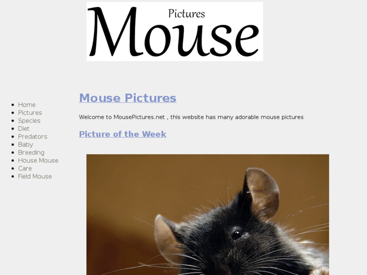 www.mousepictures.net