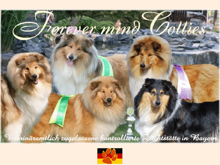 www.forever-mind.de