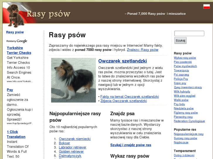 www.rasypsow.org