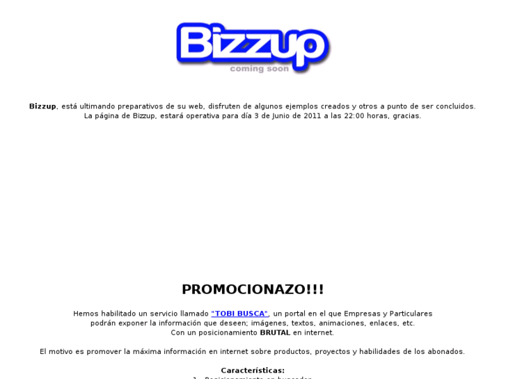 www.bizzup.es