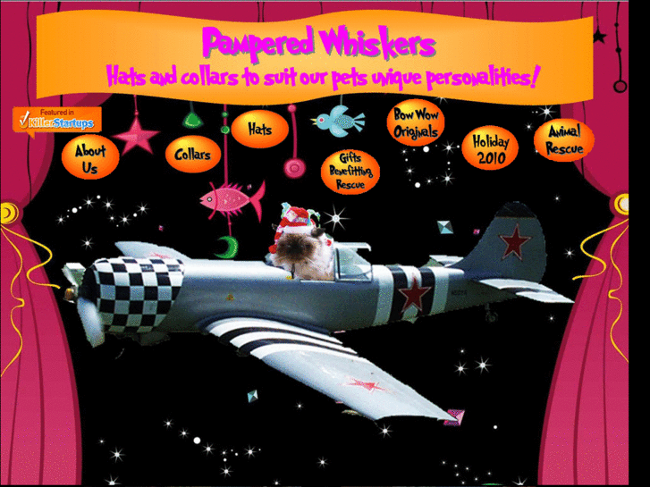www.pamperedwhiskers.com