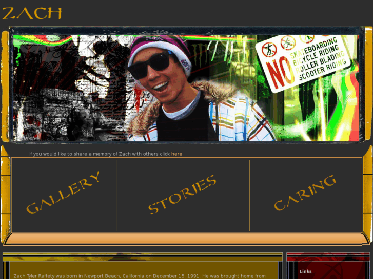 www.zachraffety.com