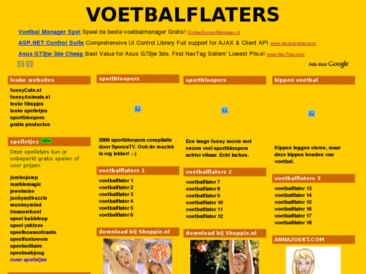 www.voetbalflaters.nl