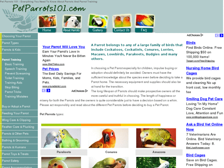 www.petparrots101.com