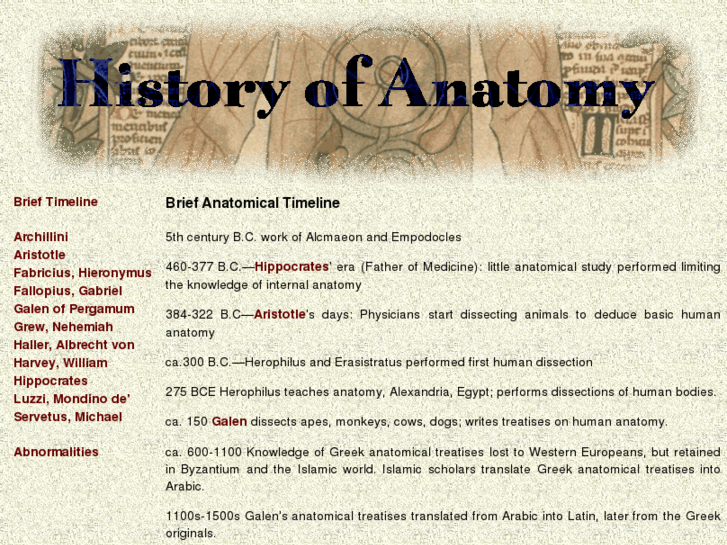 www.about-anatomy.net