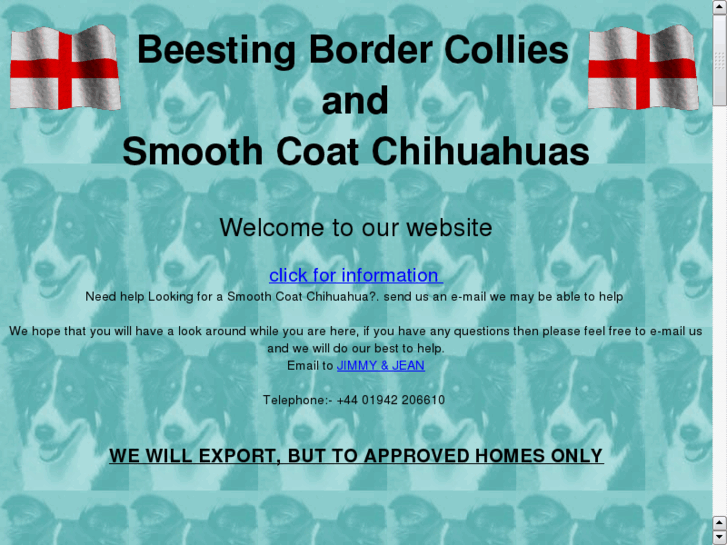 www.beestingbordercollies.com