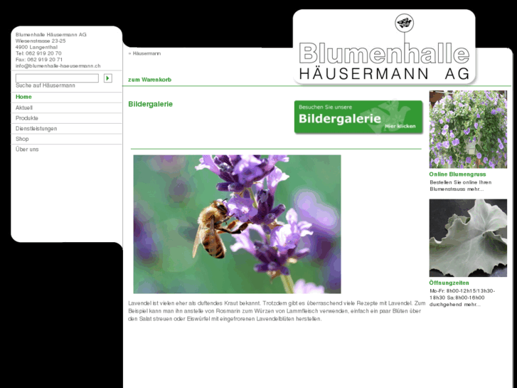 www.blumenhalle-haeusermann.ch