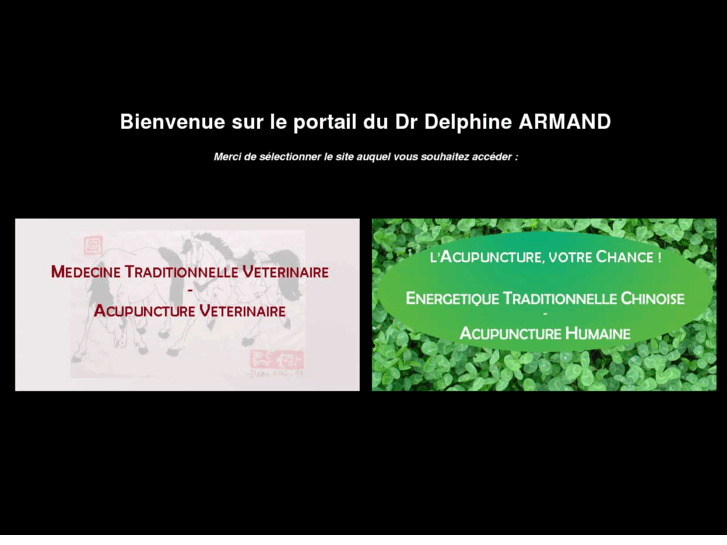 www.delphinearmand.com