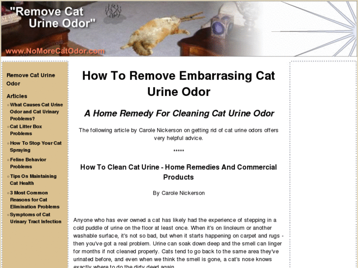 www.nomorecatodor.com