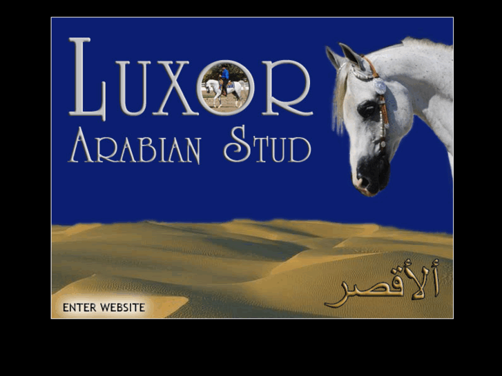 www.luxorarabianstud.com