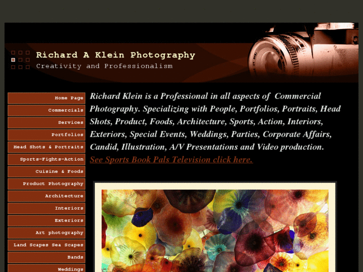 www.richardaklein.com
