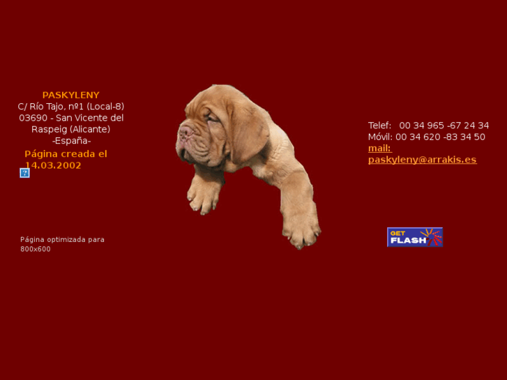 www.paskyleny.es