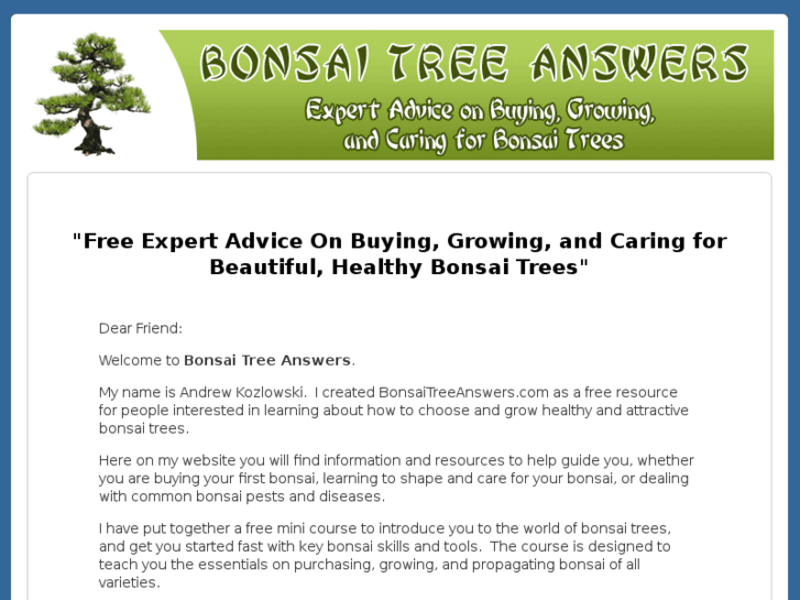www.bonsaitreeanswers.com