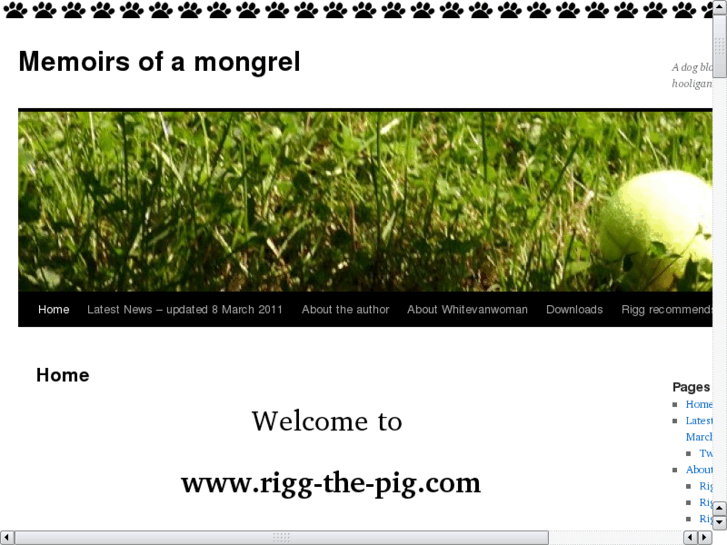 www.rigg-the-pig.com