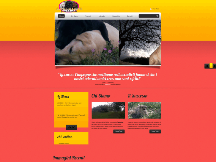 www.labradorpassion.com