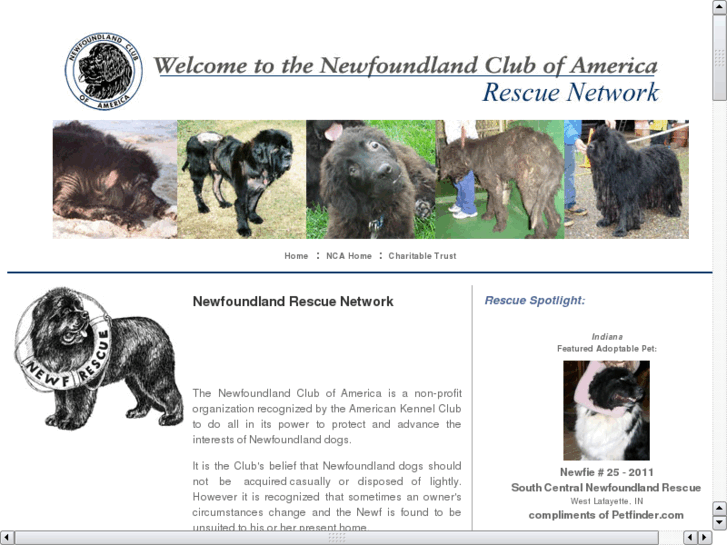www.newfoundland-rescue.com