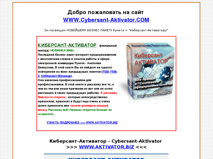 www.cybersant-aktivator.com