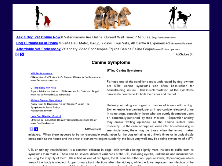www.caninesymptoms.net