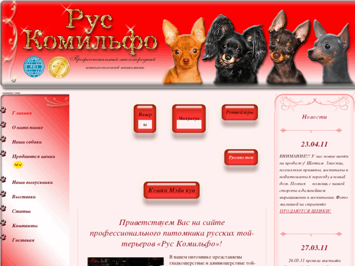 www.toyter.com