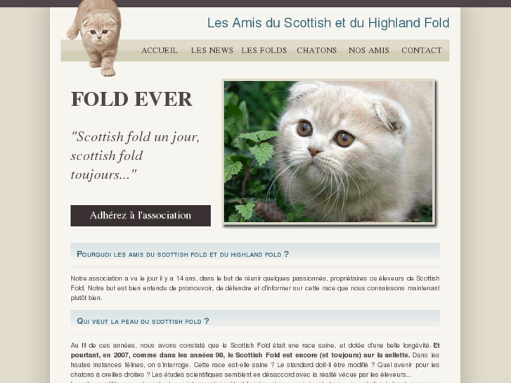 www.scottish-fold.fr