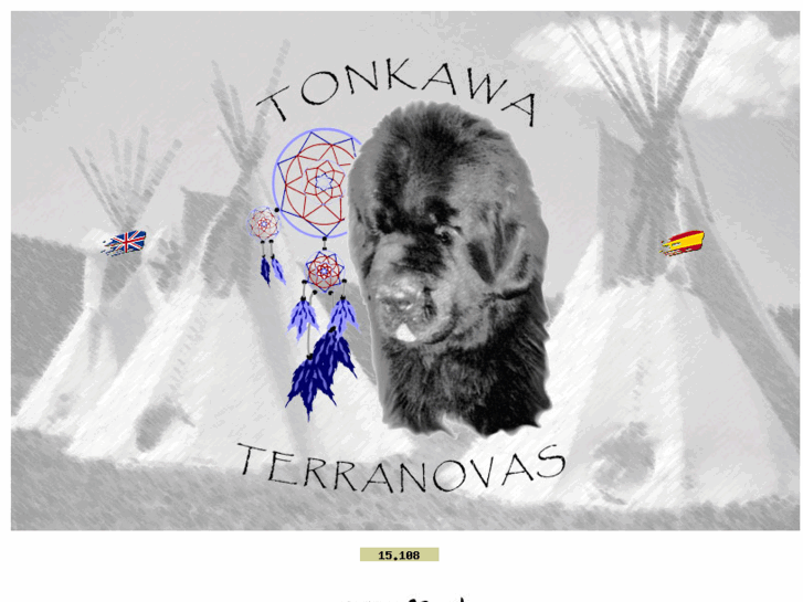 www.tonkawa-terranovas.es