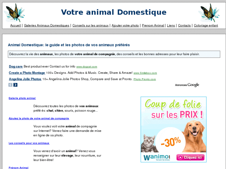 www.animal-galerie.com