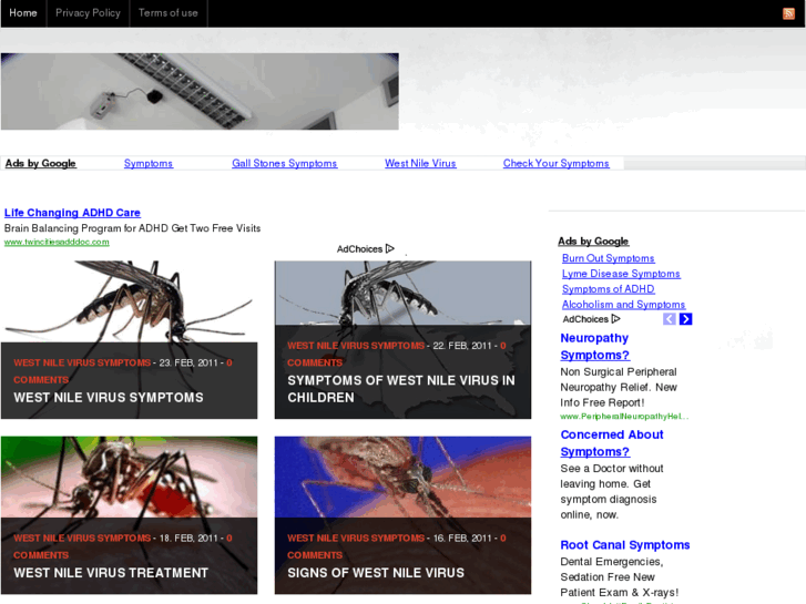 www.westnilevirussymptoms.org