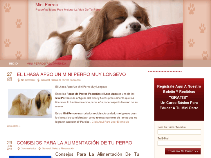 www.miniperros.com