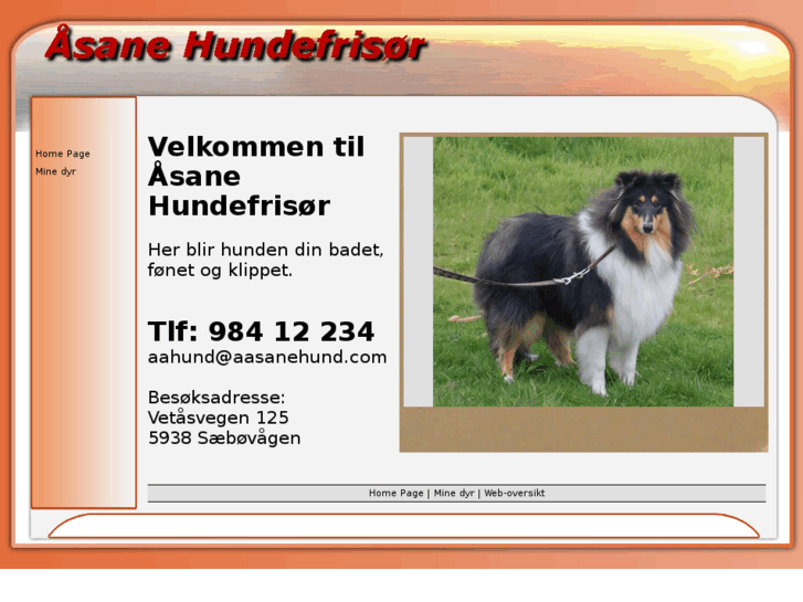 www.aasanehund.com
