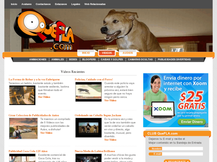 www.quefla.com