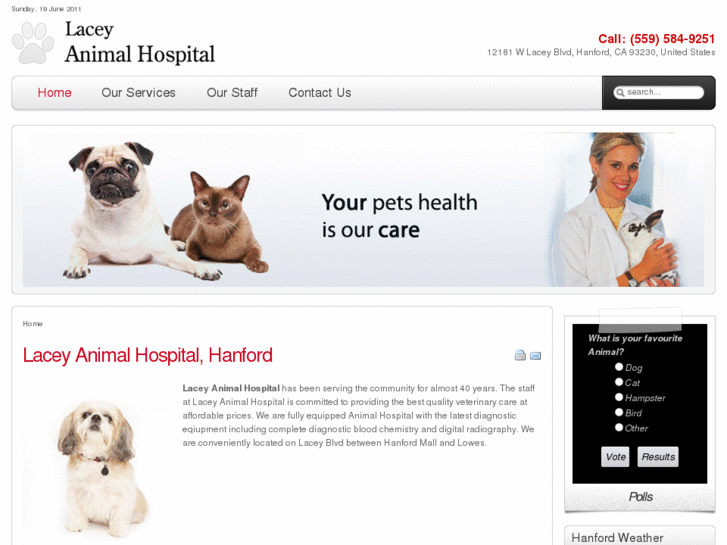 www.laceyanimalhospital.com