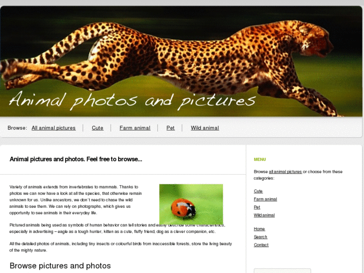 www.photos-animals.com