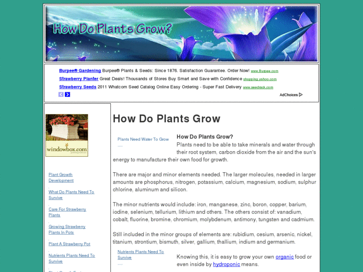 www.how-do-plants-grow.com