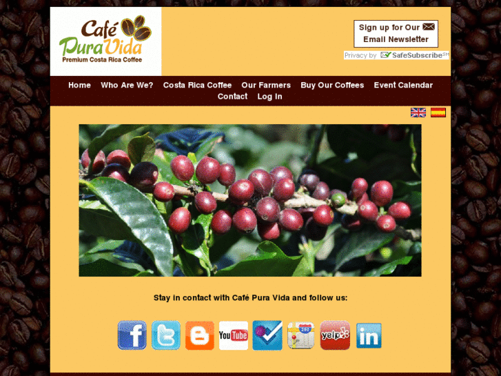 www.cafe-puravida.com