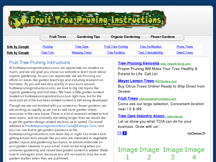 www.fruittreepruninginstructions.com