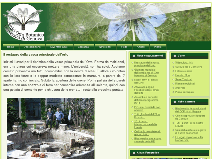 www.ambog.org